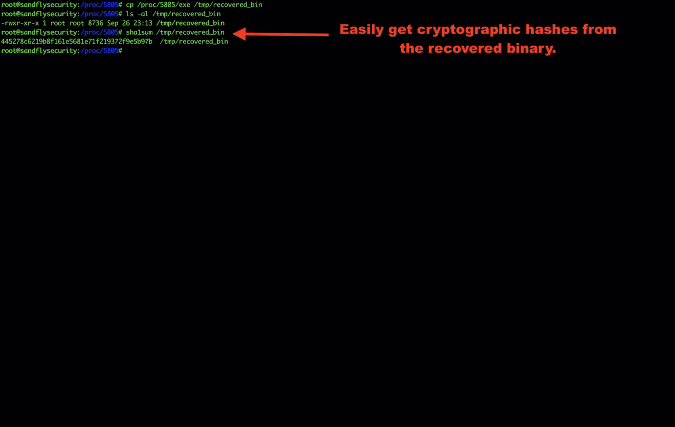 9-tmp-get-hashes-e1569879154574.png