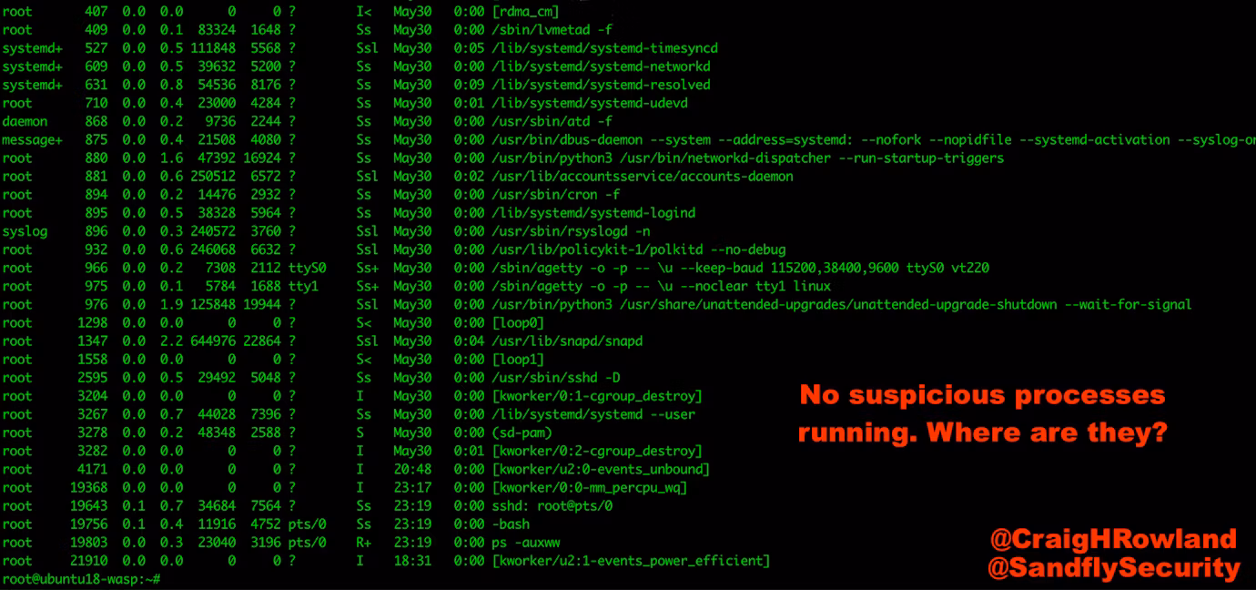 1-hidden-wasp-no-suspicious-processes.png
