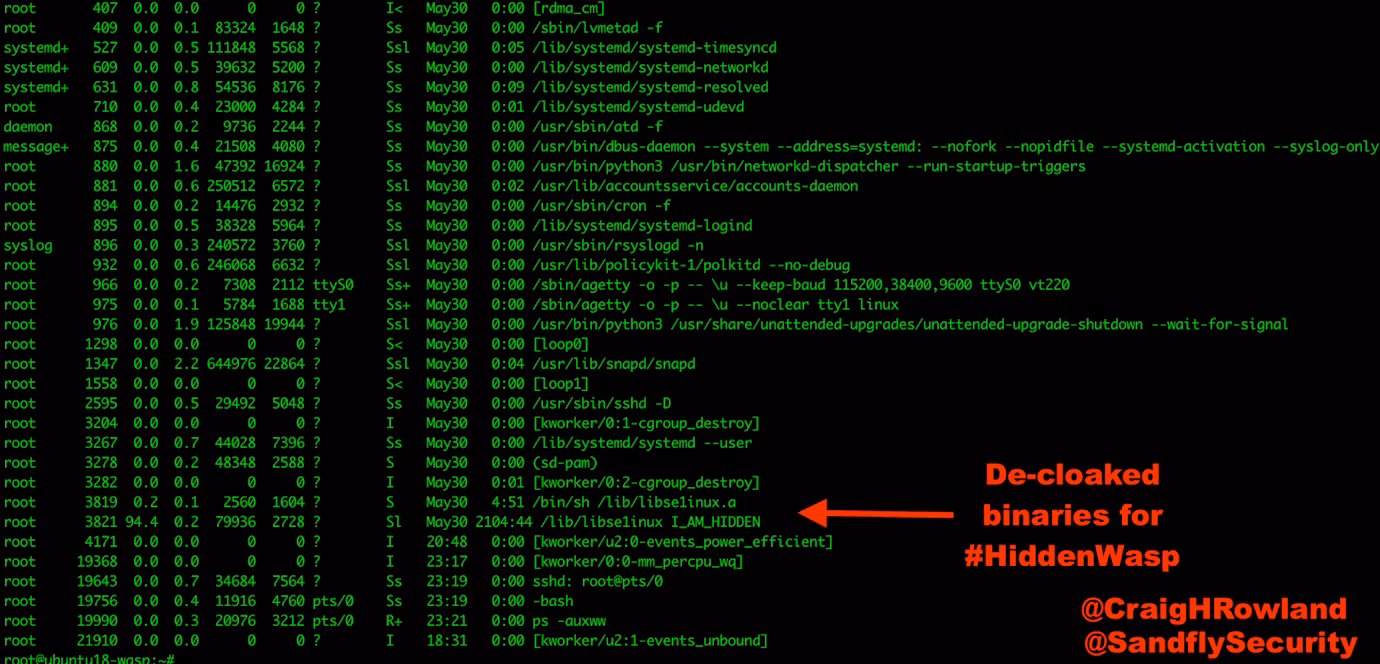 use-hidden-wasp-decloaked-processes.png